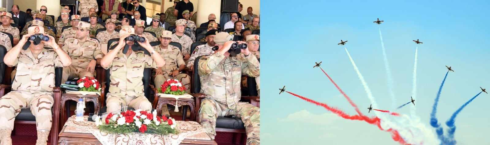 received_3119272491712314