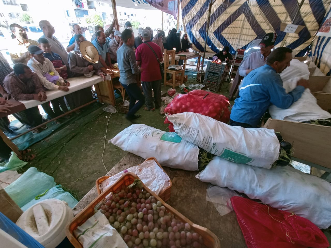 محافظة الوادي الجديد تستمر في طرح الدواجن والخضروات والفاكهة بأسعار مخفضة للمواطنين