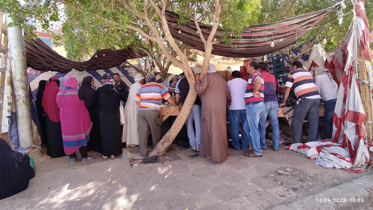 محافظة الوادي الجديد تستمر في طرح الدواجن والخضروات والفاكهة بأسعار مخفضة للمواطنين