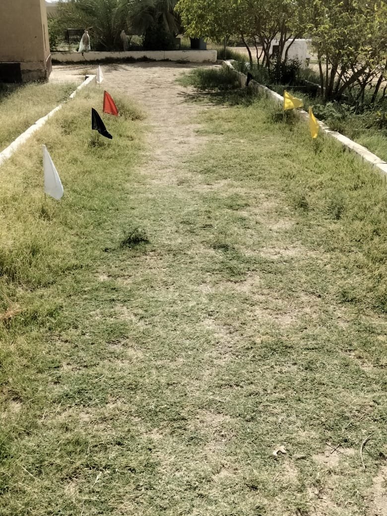 وكيل التعليم بالوادي الجديد يتابع استعدادات بلاط التعليمية لاستقبال العام الدراسي الجديد