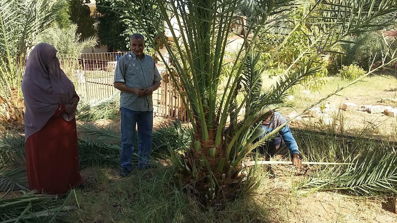  إدارة الداخلة التعليمية تتابع جاهزية مدارسها لإستقبال العام الدراسى الجديد