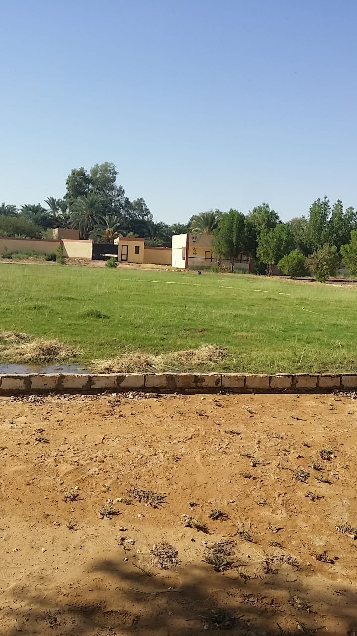  إدارة الداخلة التعليمية تتابع جاهزية مدارسها لإستقبال العام الدراسى الجديد