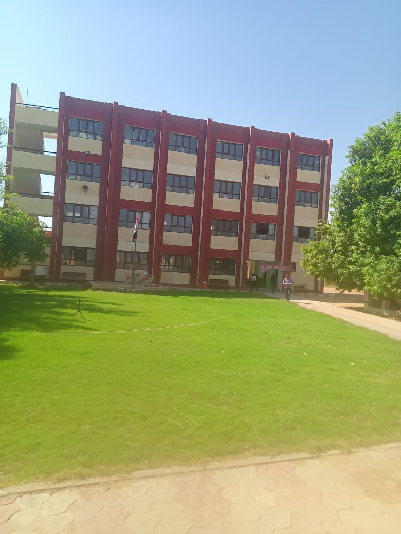  إدارة الداخلة التعليمية تتابع جاهزية مدارسها لإستقبال العام الدراسى الجديد