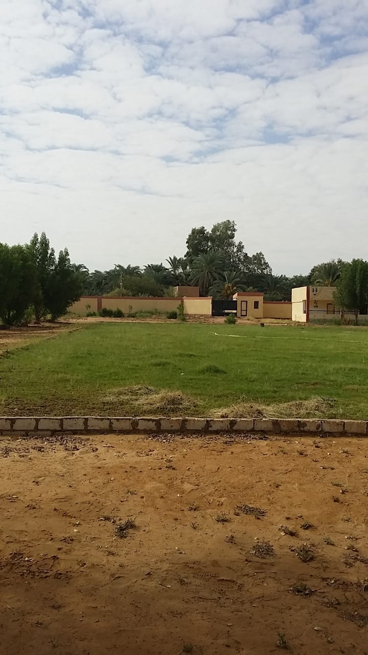  إدارة الداخلة التعليمية تتابع جاهزية مدارسها لإستقبال العام الدراسى الجديد