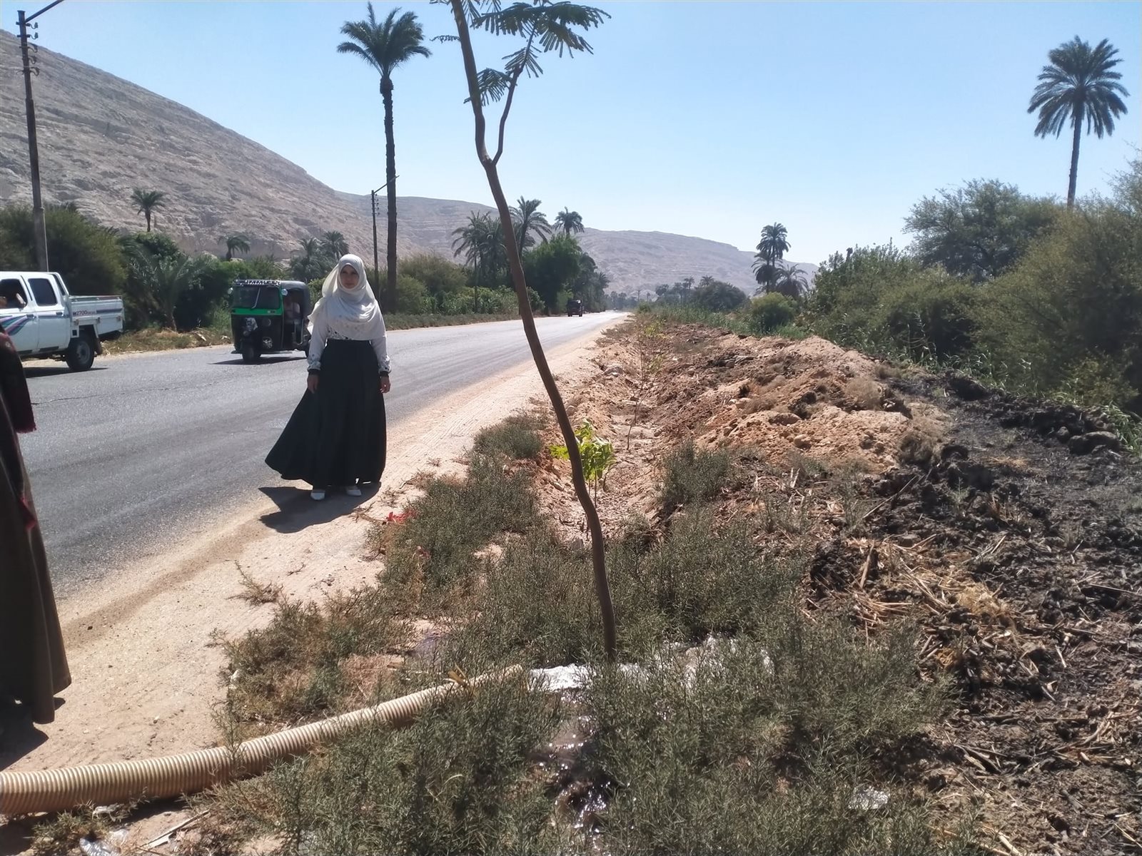 حملة لقص وتنظيف الأشجار والاهتمام بها للحفاظ على مظهرها وجمالها بالبداري