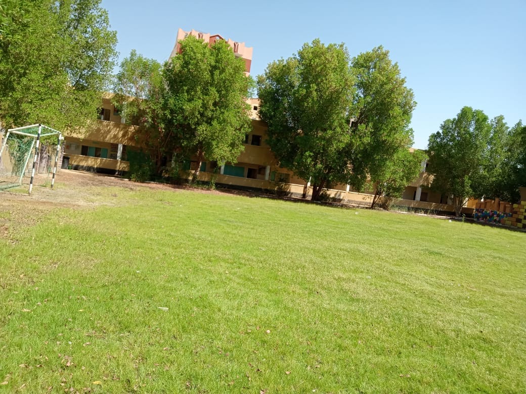 تعليم الوادي الجديد تكثيف المتابعات الميدانية للوقوف على جاهزية المدارس للعام الجديد 