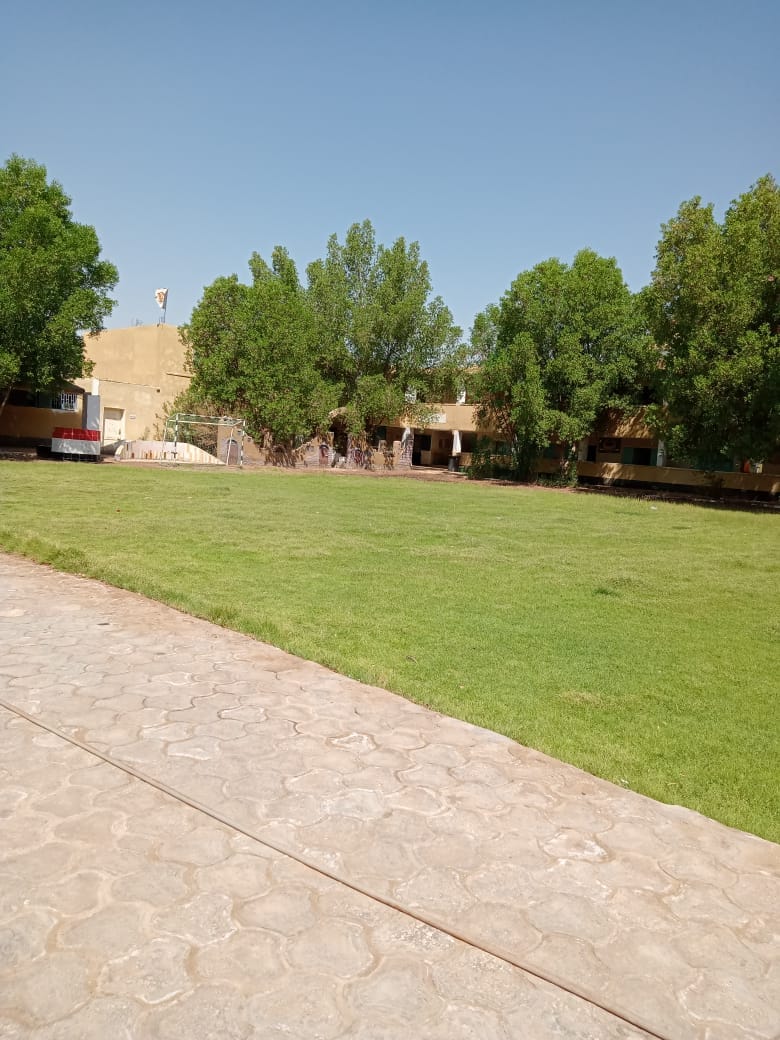 تعليم الوادي الجديد تكثيف المتابعات الميدانية للوقوف على جاهزية المدارس للعام الجديد 