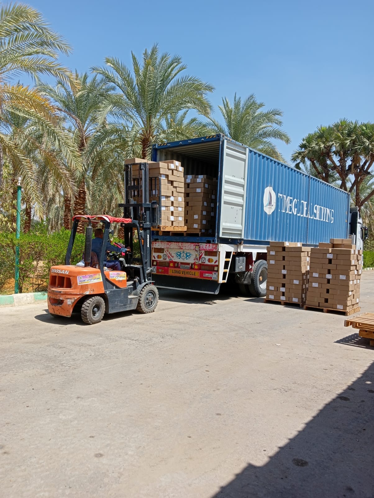 محافظة الوادي الجديد تجهز أولى شحنات التصدير من التمور لدول الخليج والمغرب