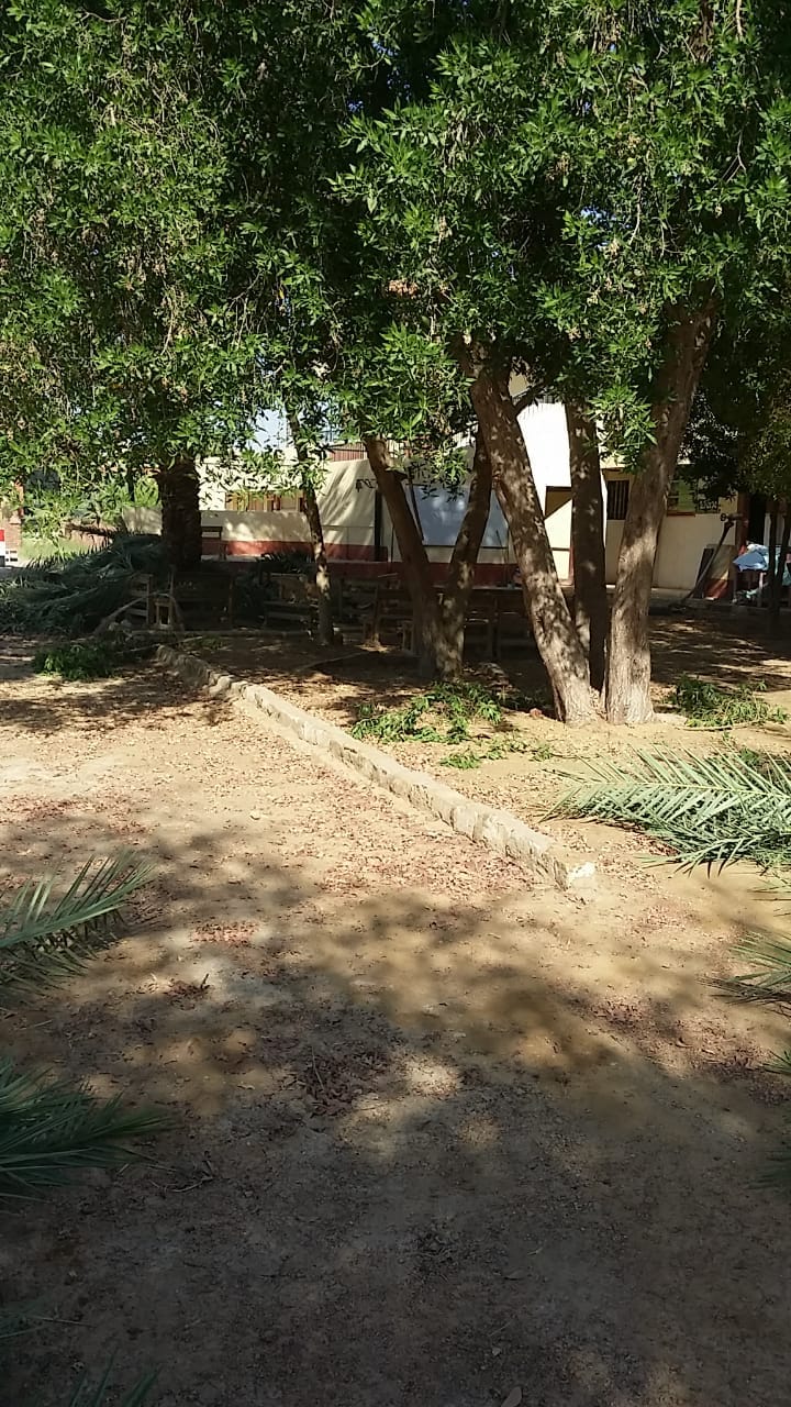 وكيل التعليم بالوادي الجديد يتابع استعدادات إدارة الداخلة التعليمية وجاهزيتها للعام الجديد