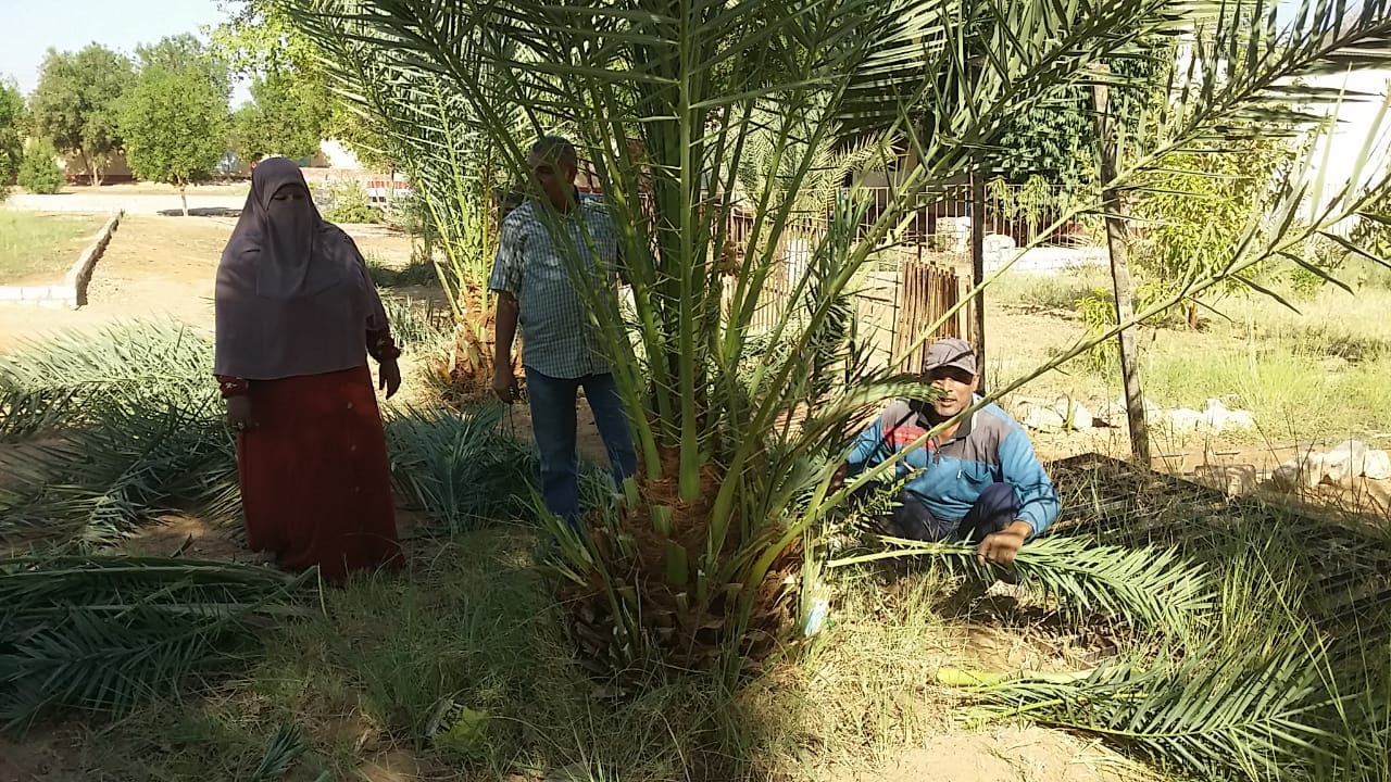 وكيل التعليم بالوادي الجديد يتابع استعدادات إدارة الداخلة التعليمية وجاهزيتها للعام الجديد