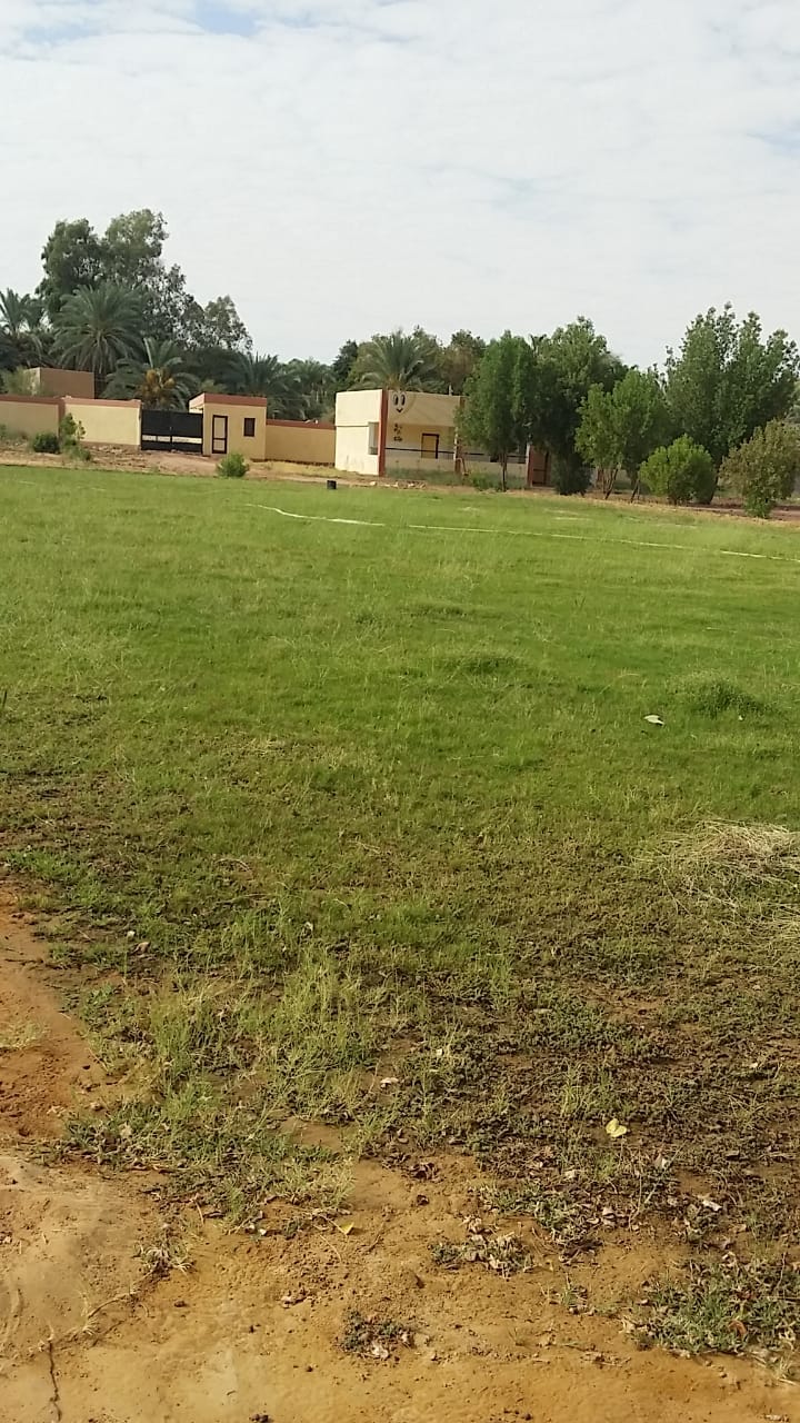 وكيل التعليم بالوادي الجديد يتابع استعدادات إدارة الداخلة التعليمية وجاهزيتها للعام الجديد