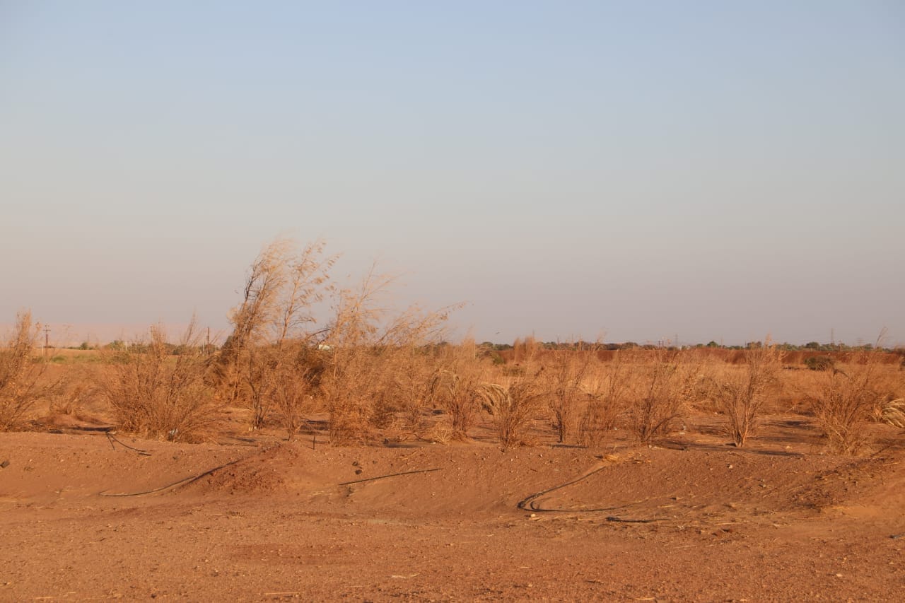 محافظ الوادي الجديد يعقد لقاءََ مع أهالي قرية الزيات بمركز بلاط 