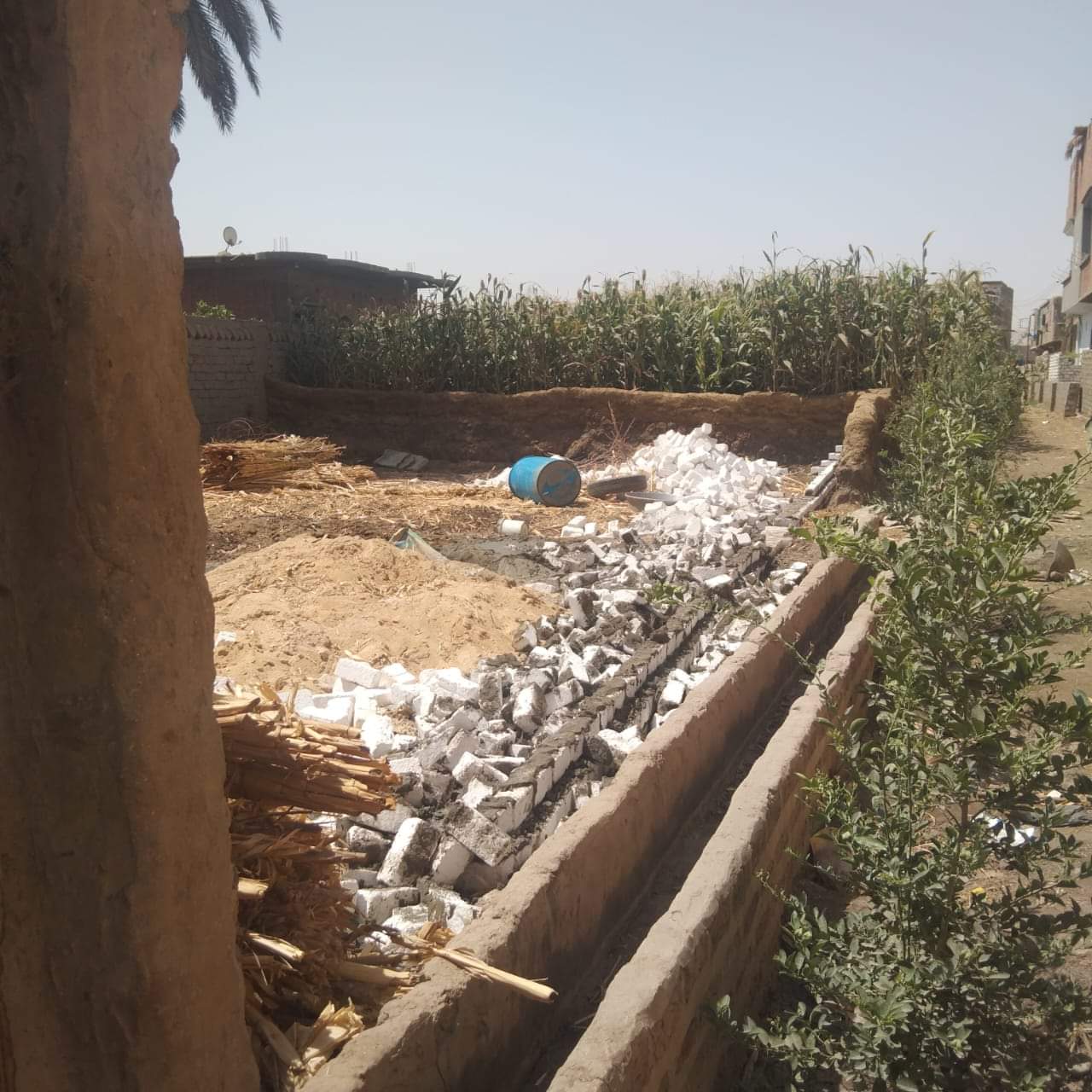 محافظ أسيوط: تنفيذ إزالات لـ 31حالة تعدي على الأراضي الزراعية وأملاك الدولة