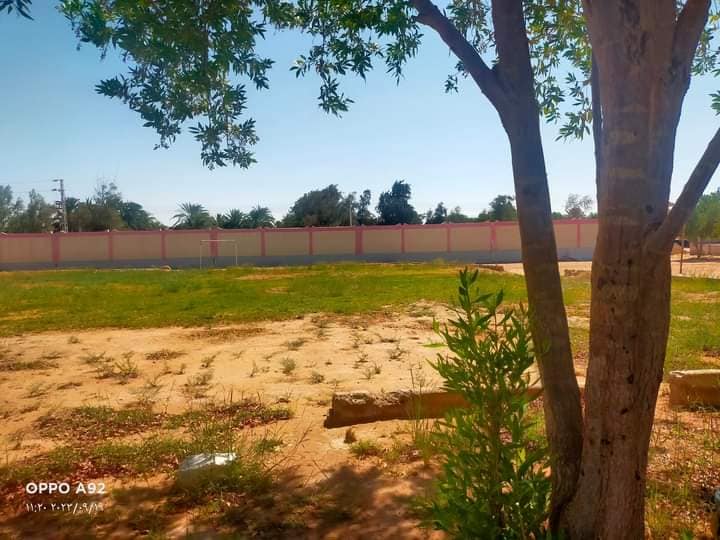 وكيل التعليم بالوادي الجديد يتابع تحضيرات المدارس التابعة لإدارة باريس التعليمية