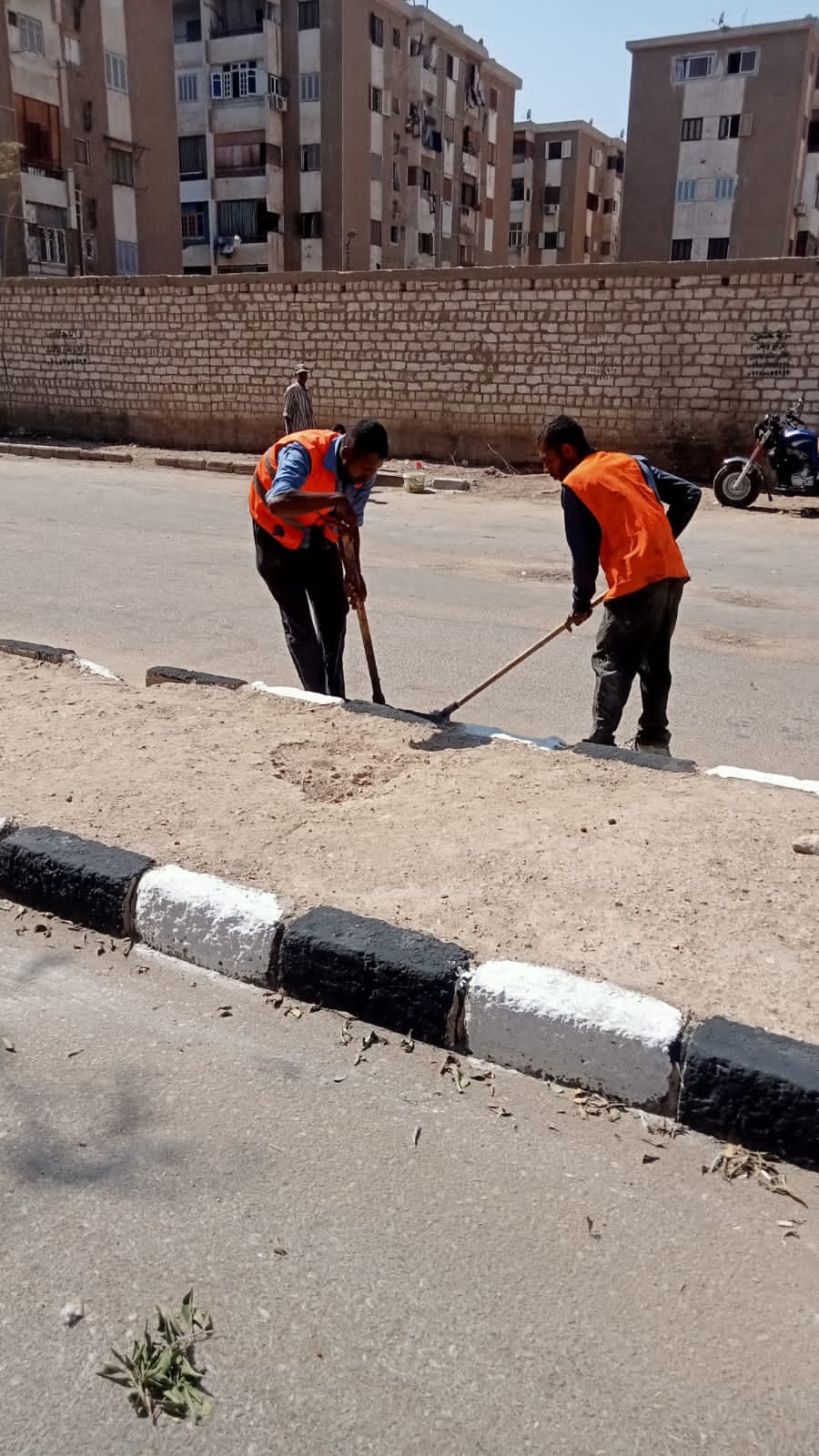 حملة لرفع وتنظيف المخلفات والأتربة في حي غرب اسيوط
