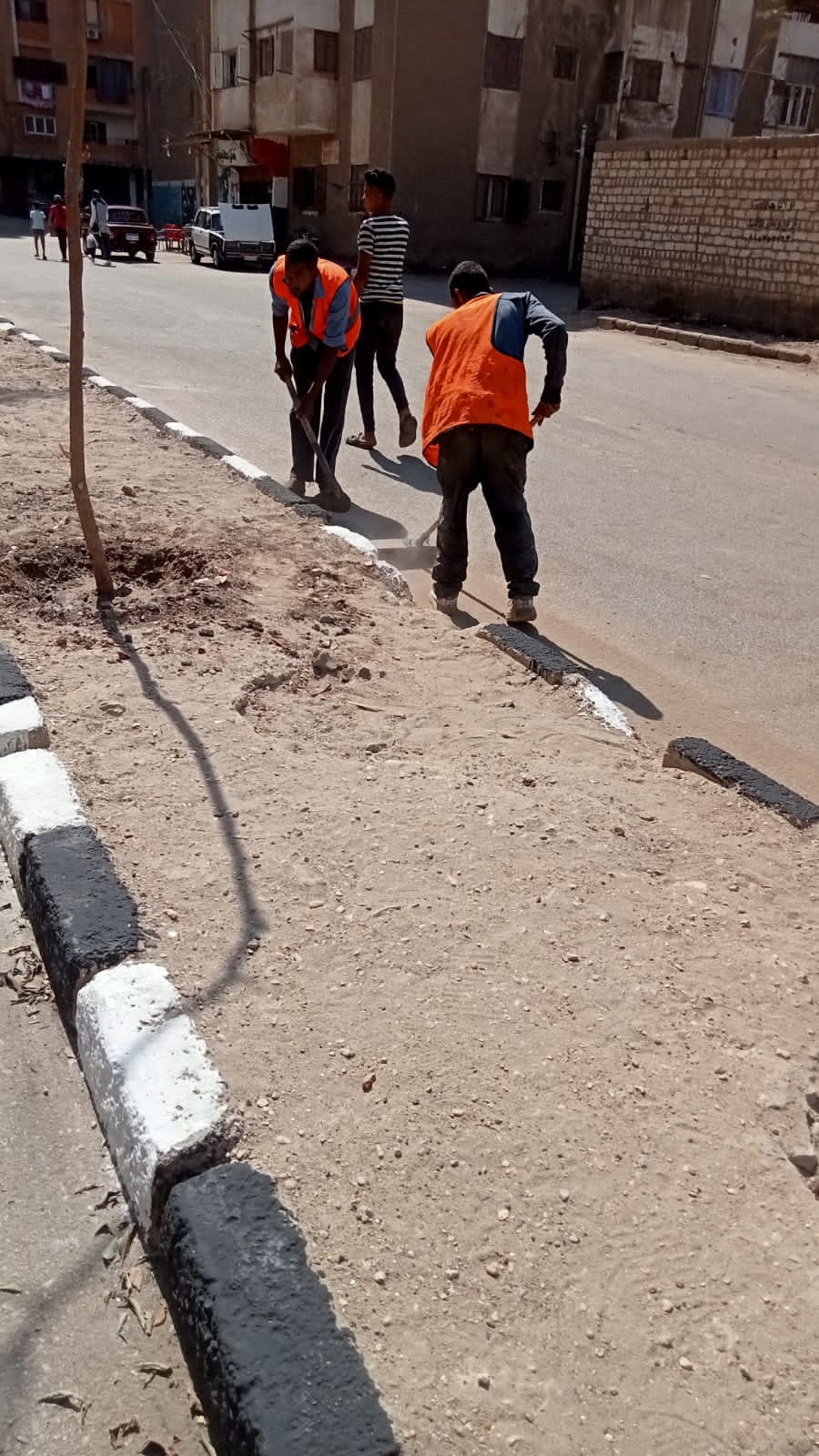 حملة لرفع وتنظيف المخلفات والأتربة في حي غرب اسيوط