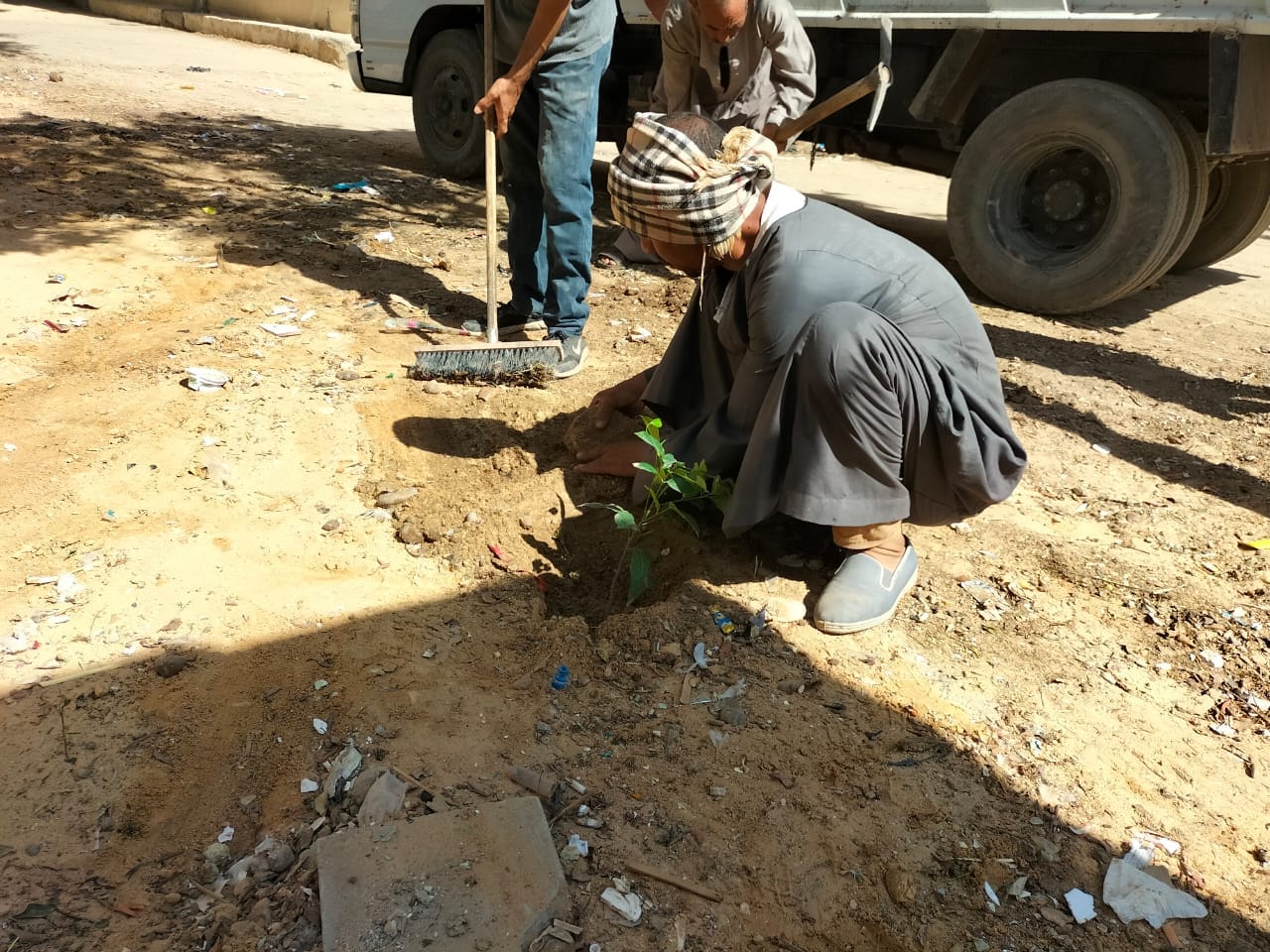 حملة لرفع جميع مقالب القمامة ورفع مخلفات تقليم الأشجار بمدينة ديروط