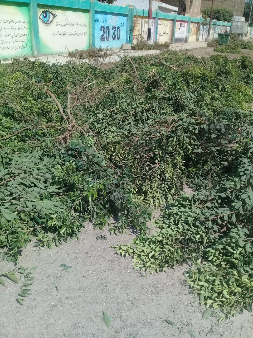 حملة لرفع جميع مقالب القمامة ورفع مخلفات تقليم الأشجار بمدينة ديروط