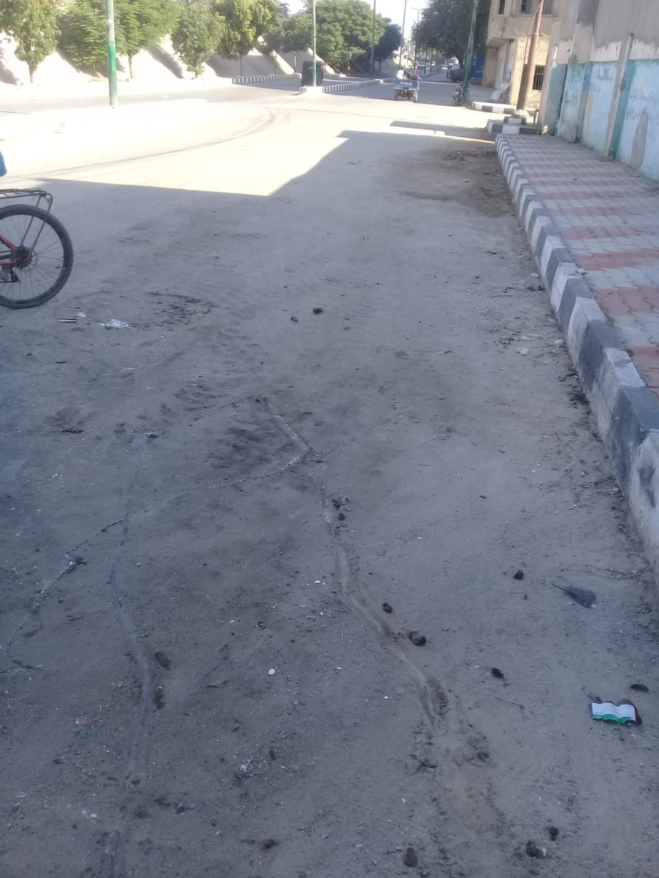 حملة لرفع جميع مقالب القمامة ورفع مخلفات تقليم الأشجار بمدينة ديروط