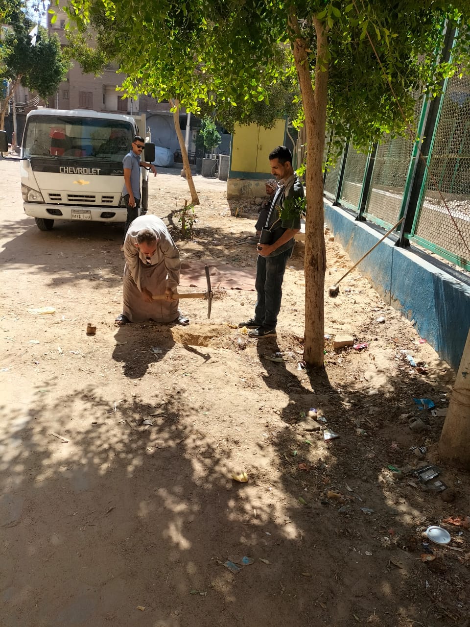 حملة لرفع جميع مقالب القمامة ورفع مخلفات تقليم الأشجار بمدينة ديروط