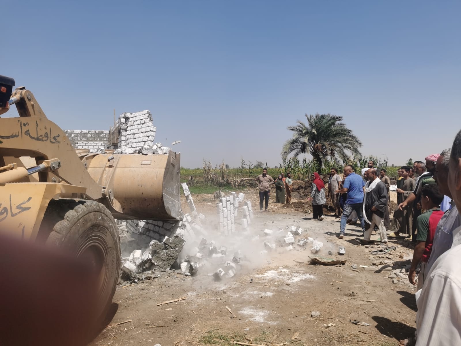 إزالة 4 حالات تعدي على أراضي زراعيه بالمنشأه الصغرى في مركز القوصية