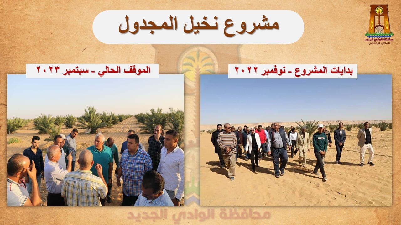 محافظ الوادي الجديد يتفقّد مشروع زراعي متميز لإنتاج 