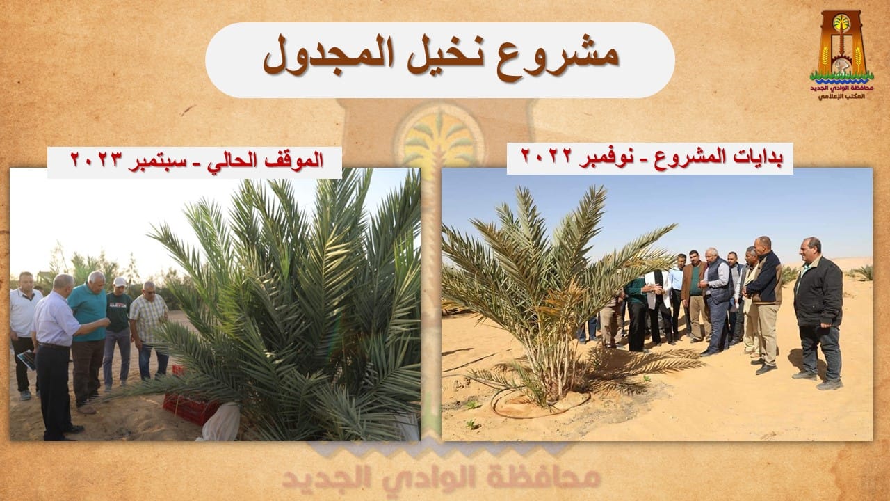 محافظ الوادي الجديد يتفقّد مشروع زراعي متميز لإنتاج 