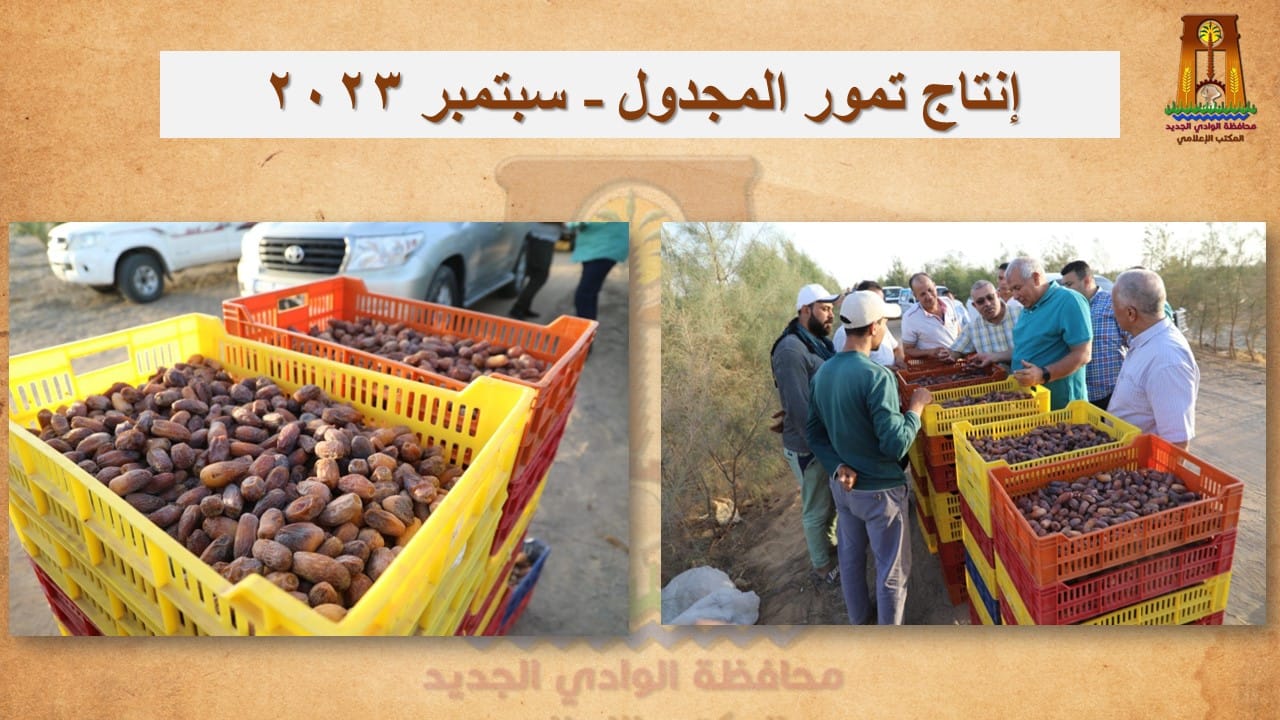 محافظ الوادي الجديد يتفقّد مشروع زراعي متميز لإنتاج 