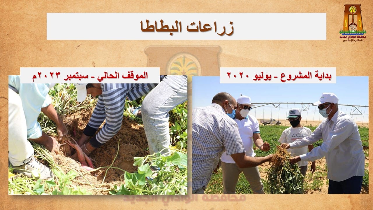 محافظ الوادي الجديد نحظى بوفرة وجودة عالية في إنتاج المحاصيل المختلفة