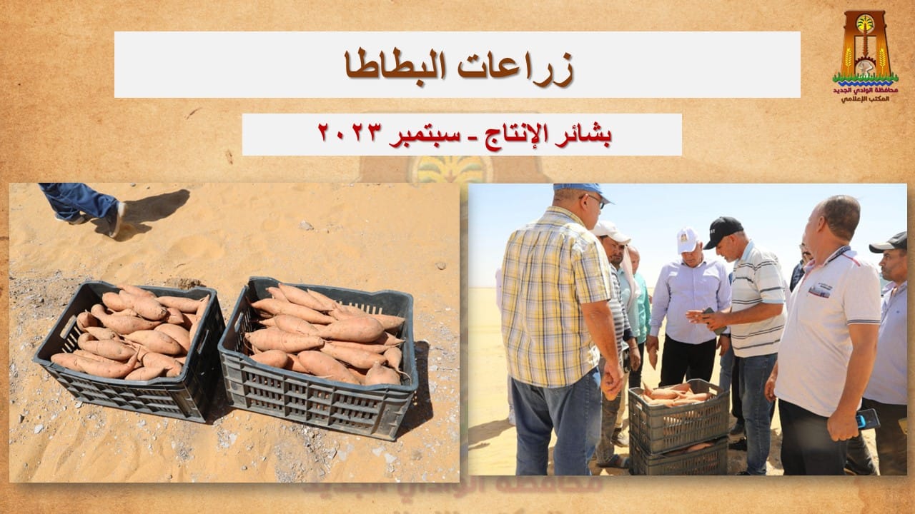 محافظ الوادي الجديد نحظى بوفرة وجودة عالية في إنتاج المحاصيل المختلفة