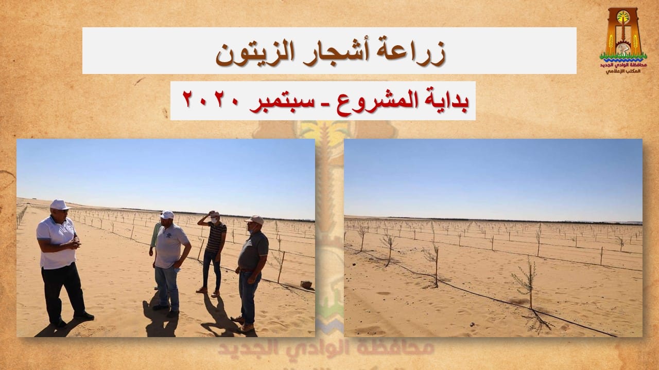 محافظ الوادي الجديد نحظى بوفرة وجودة عالية في إنتاج المحاصيل المختلفة