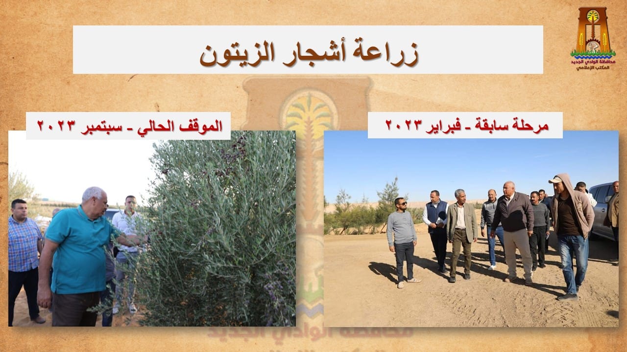 محافظ الوادي الجديد نحظى بوفرة وجودة عالية في إنتاج المحاصيل المختلفة