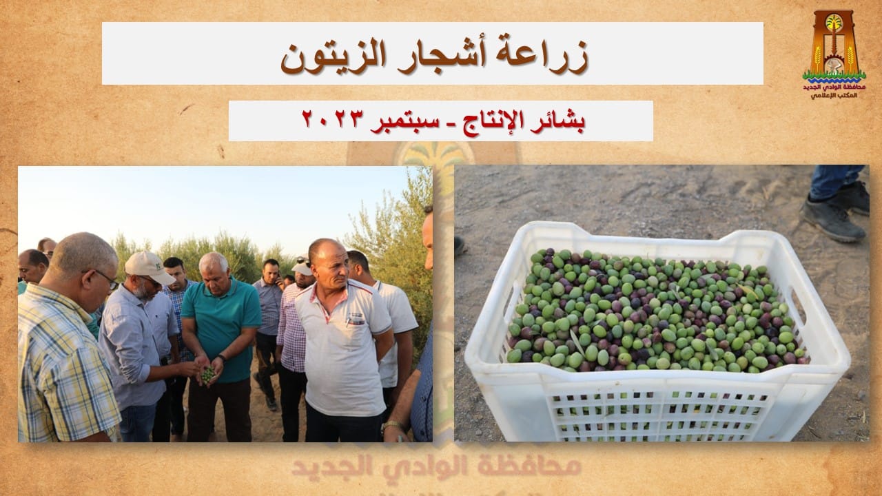 محافظ الوادي الجديد نحظى بوفرة وجودة عالية في إنتاج المحاصيل المختلفة