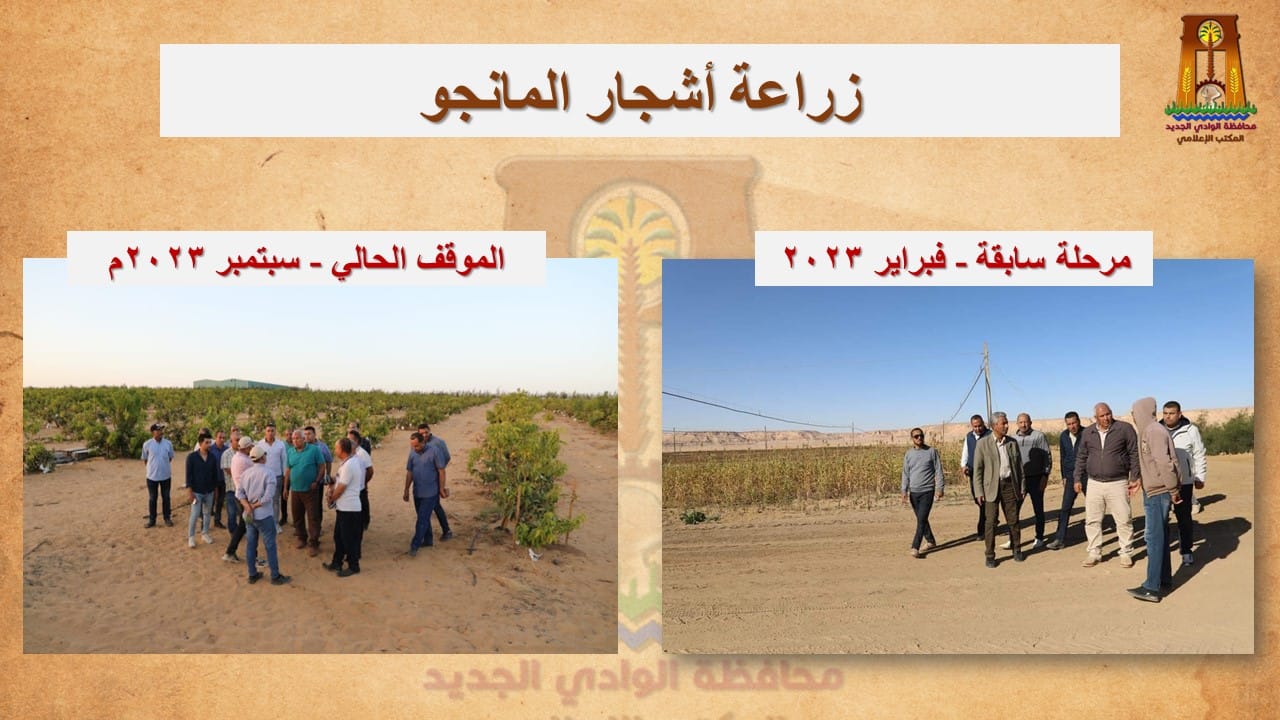 محافظ الوادي الجديد نحظى بوفرة وجودة عالية في إنتاج المحاصيل المختلفة