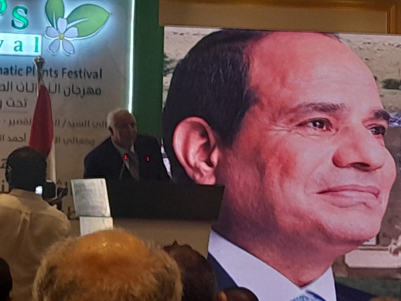 محافظ الوادي الجديد يفتتح فعاليات الدورة الثانية من مهرجان النباتات الطبية والعطرية