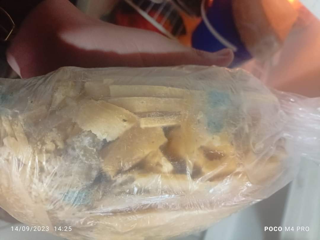 FB_IMG_1696420981676