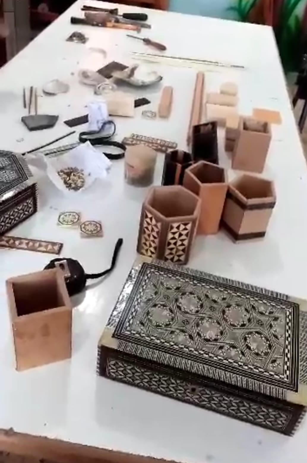 الشباب والرياضة بالوادي الجديد تنظم 