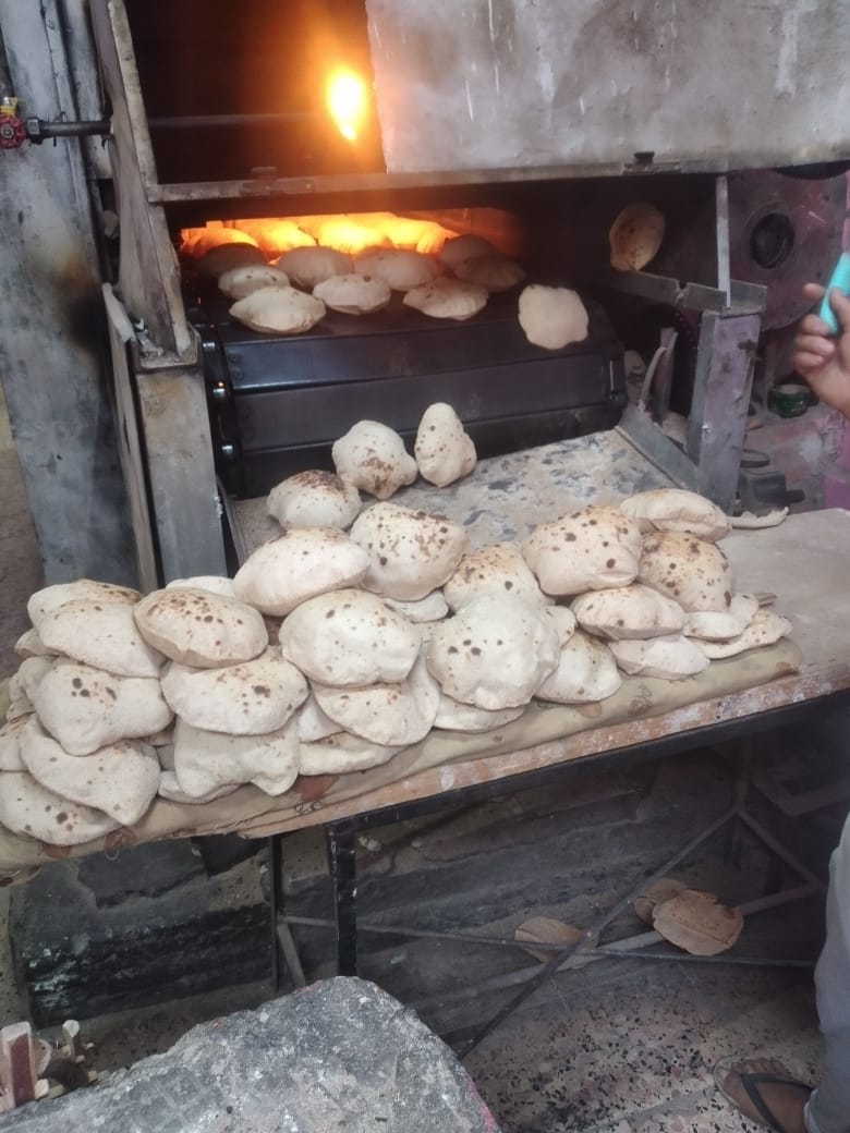 محافظ أسيوط: غلق 3 مخابر وتحرير 58 محضر تمويني خلال حملات بالمراكز