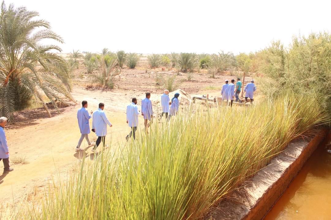 العمل بالوادى الجديد تتدرب الشباب في ثلاث مهن