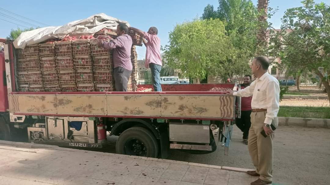 الوحدة المحلية بمركز الداخلة تطلق مبادرة لتخفيض السلع بالتعاون مع المزارعين