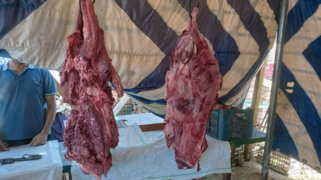 الوحدة المحلية بمركز الداخلة تطلق مبادرة لتخفيض السلع بالتعاون مع المزارعين
