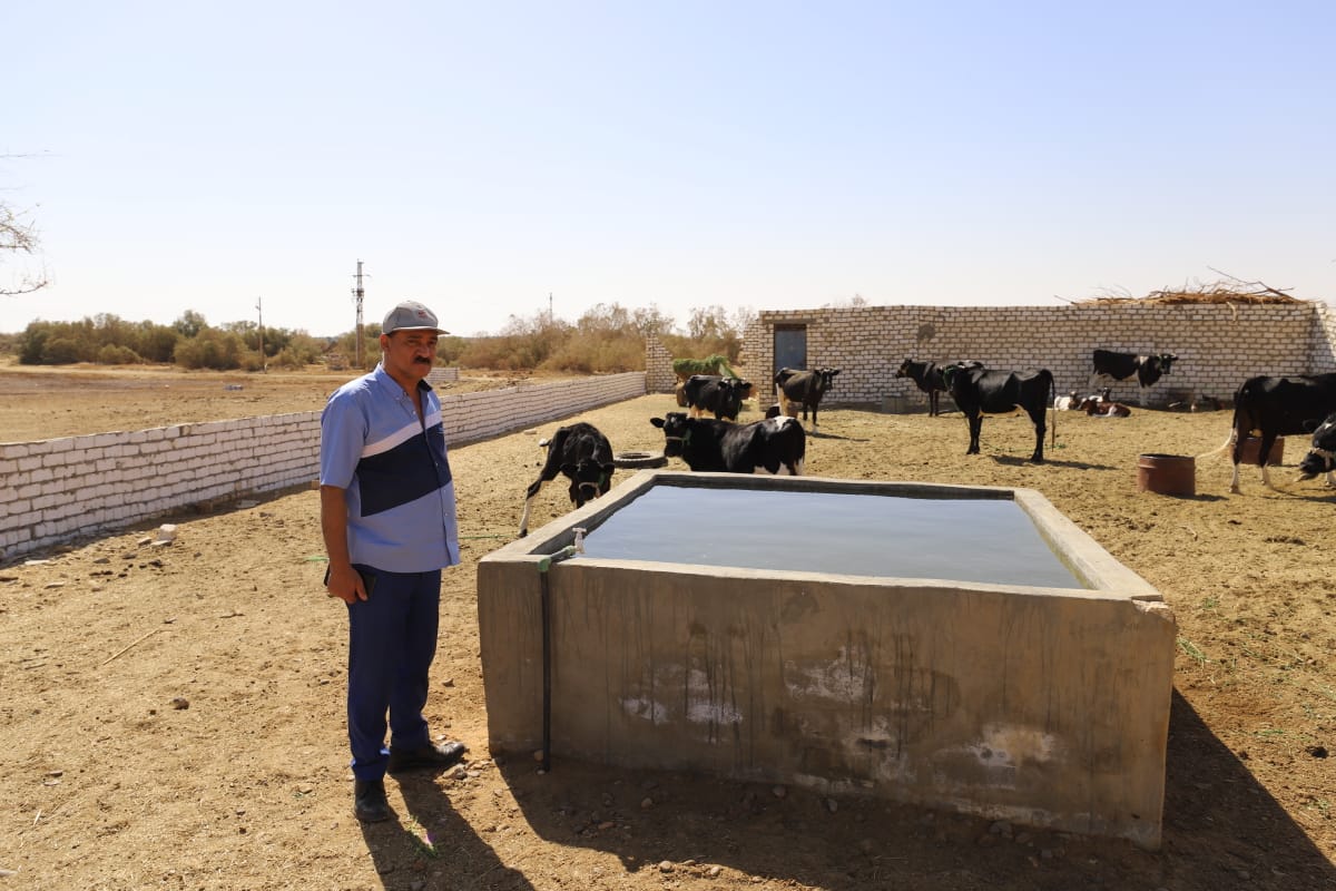 إحلال وتجديد ورفع كفاءة خزانات الصرف الصحي بقرى مركز الفرافرة