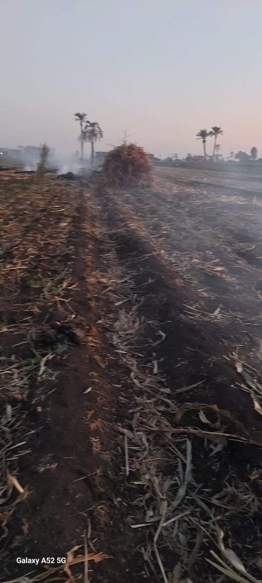 حملات رصد وردع حرق المخلفات الزراعية بقرى أسيوط وتحرير 54 محضر بديروط