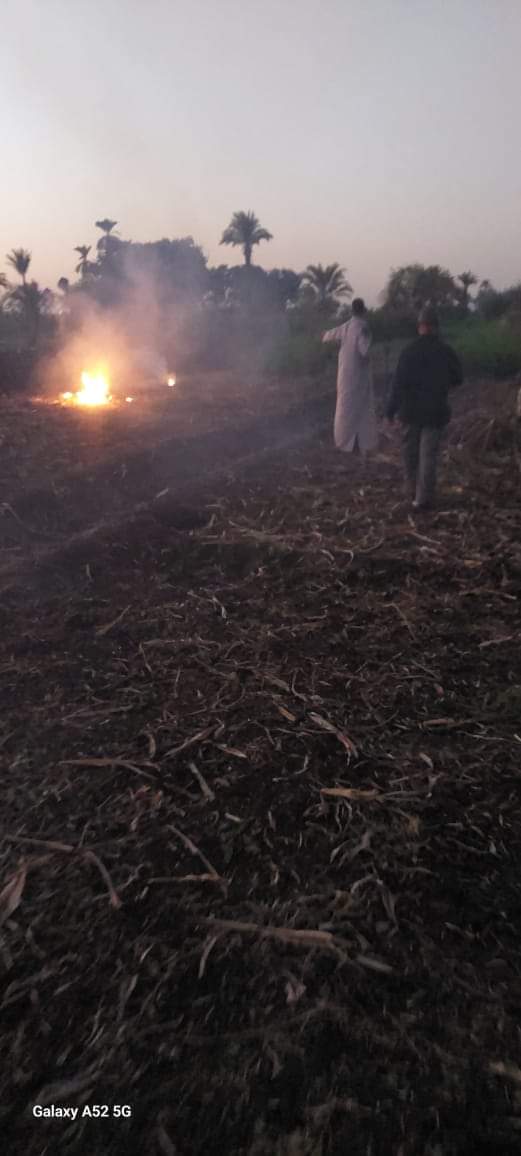 حملات رصد وردع حرق المخلفات الزراعية بقرى أسيوط وتحرير 54 محضر بديروط
