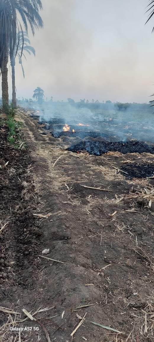 حملات رصد وردع حرق المخلفات الزراعية بقرى أسيوط وتحرير 54 محضر بديروط
