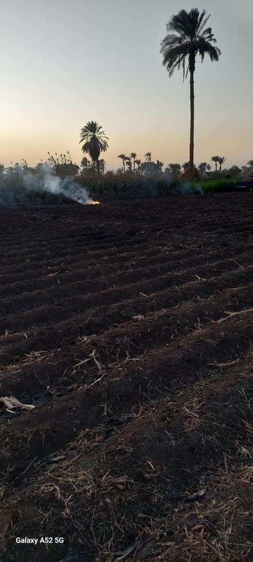 حملات رصد وردع حرق المخلفات الزراعية بقرى أسيوط وتحرير 54 محضر بديروط