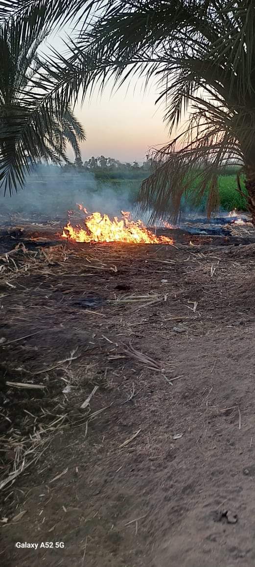 حملات رصد وردع حرق المخلفات الزراعية بقرى أسيوط وتحرير 54 محضر بديروط