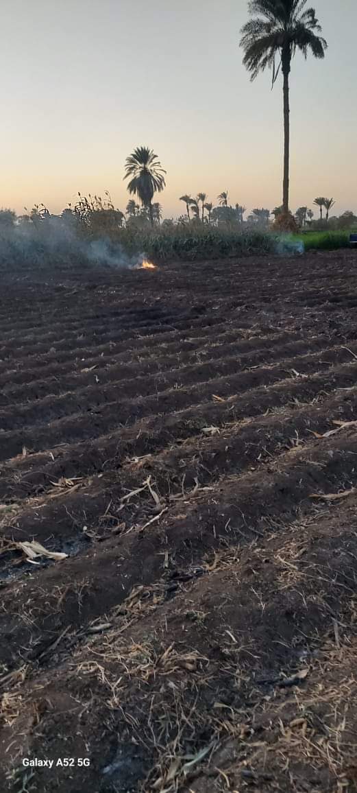 حملات رصد وردع حرق المخلفات الزراعية بقرى أسيوط وتحرير 54 محضر بديروط
