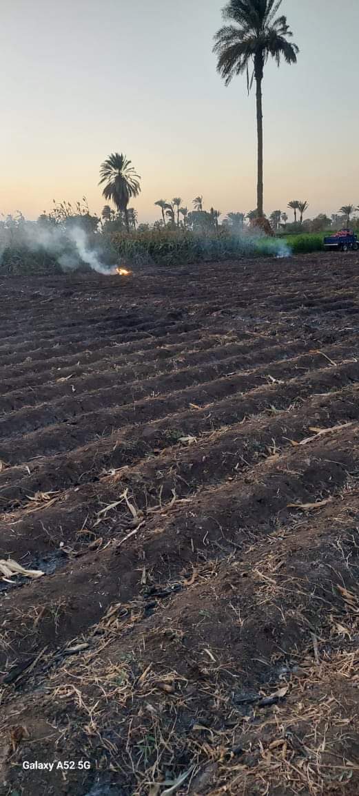 حملات رصد وردع حرق المخلفات الزراعية بقرى أسيوط وتحرير 54 محضر بديروط