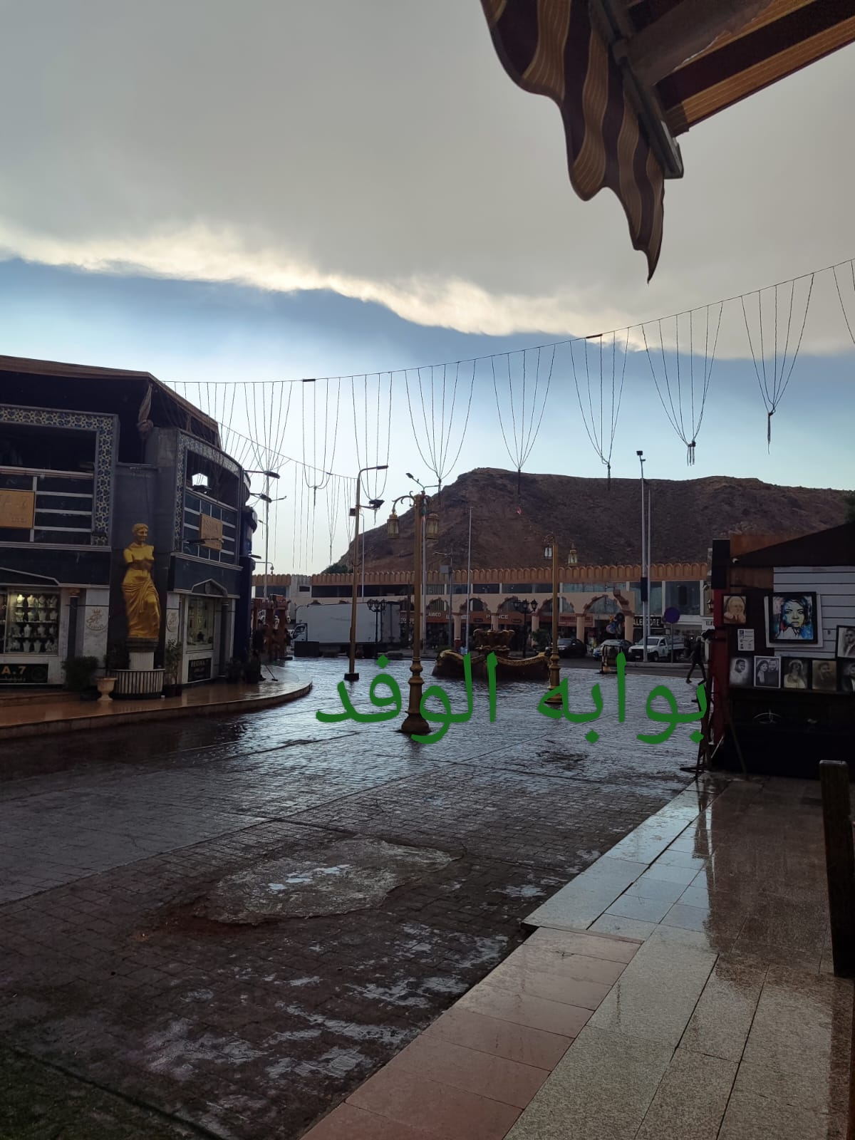 IMG_٢٠٢٣١٠٢٩_١٤٤٢٢٧